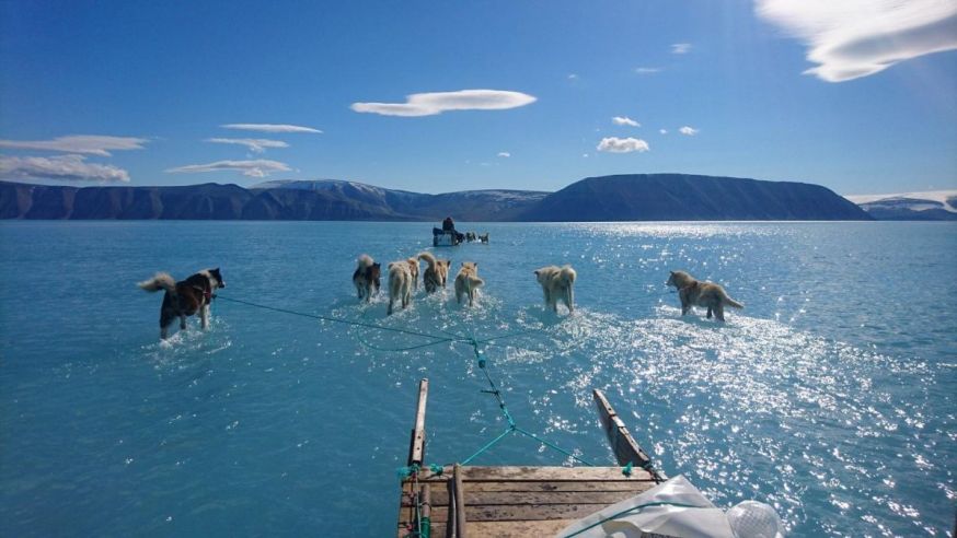 smeltend ijs in groenland sledehonden op water