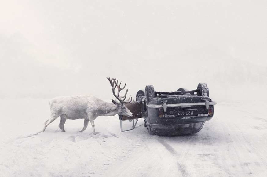 Het bijzondere werk van Martin Stranka