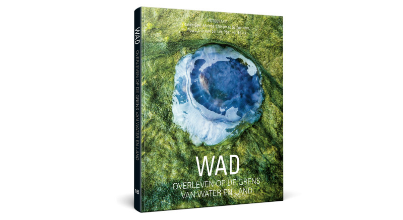 WAD