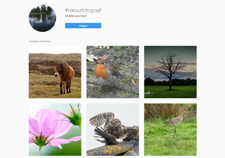 Instagram inzetten voor meer klanten natuurfotografie