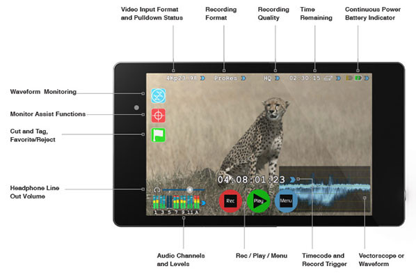 Atomos Shogun