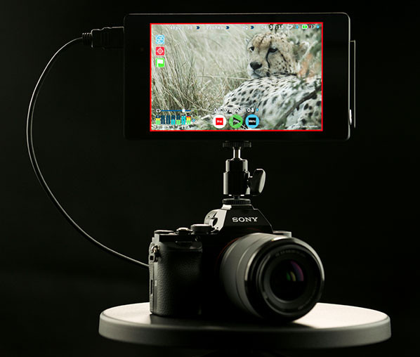 Atomos Shogun