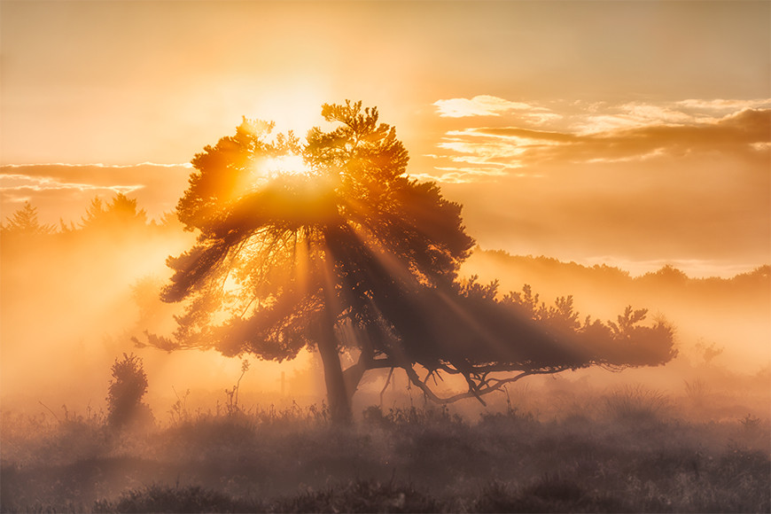 bas meelker kamera express lezing landschapsfotografie 20 september