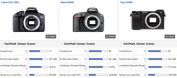 Canon vs Nikon vs Sony