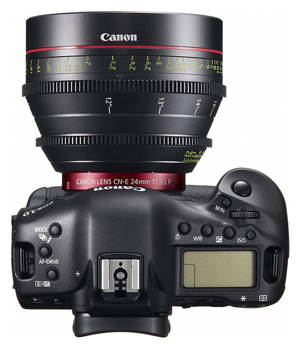 EOS 1D-C top