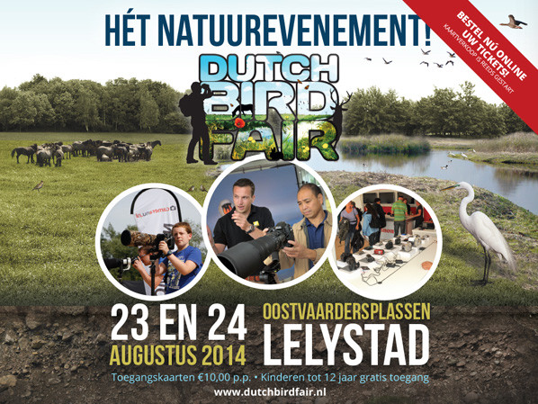 Dutch Bird Fair Poster