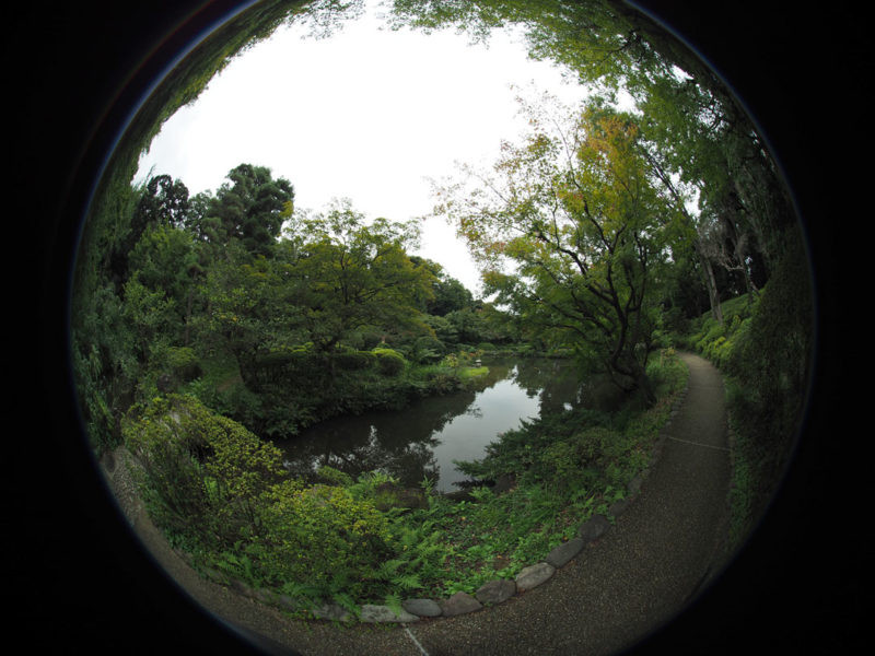 Entaniya Fisheye