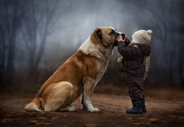 elena shumilova