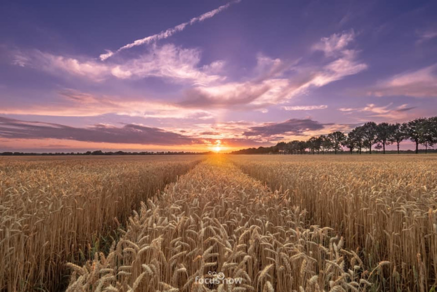 landschapsfoto