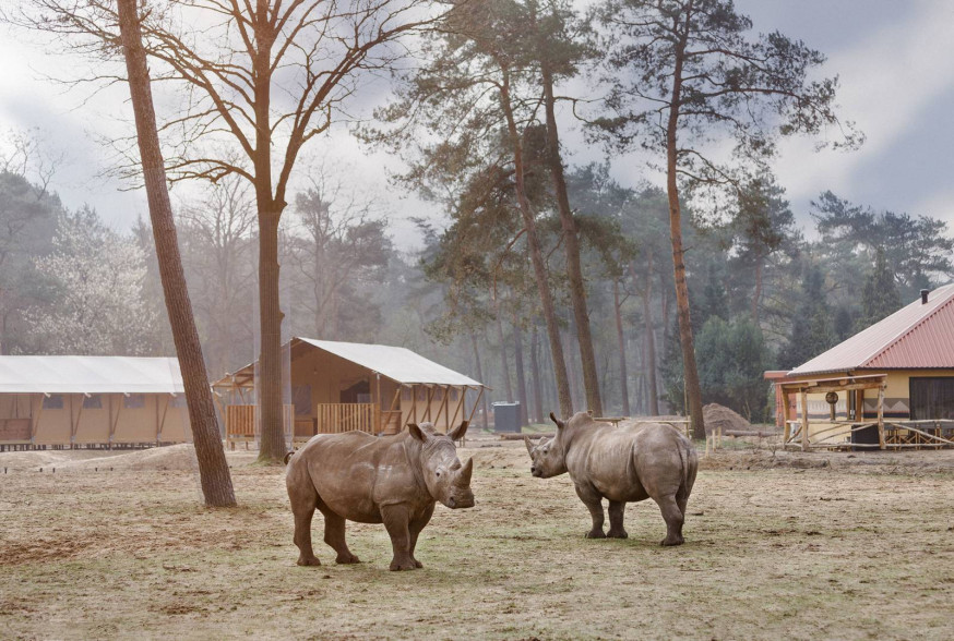 safari resort beekse bergen fotofair