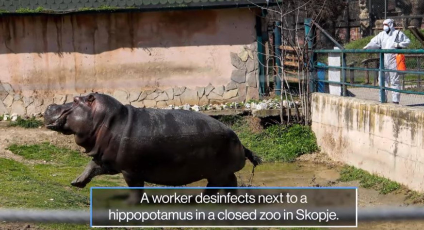 skopje, macedonie, zoo, dierentuin