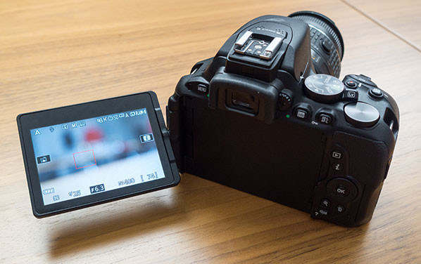 Nikon D5500 display