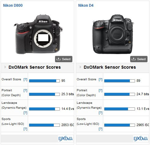 D800 versus D4