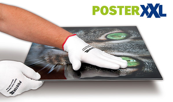 PosterXXL