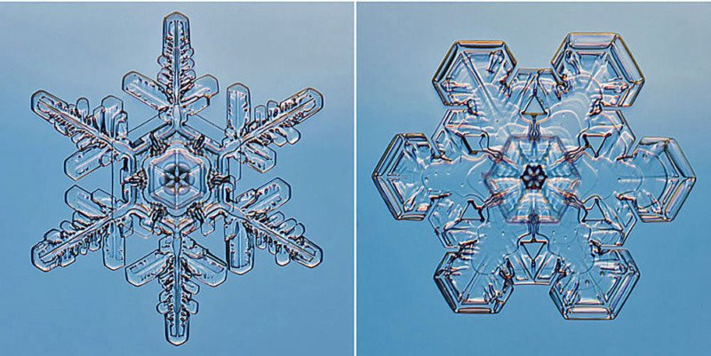 Steve Gettle fotografeerde sneeuwvlokken