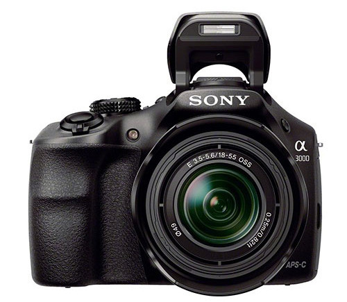 Sony A3000