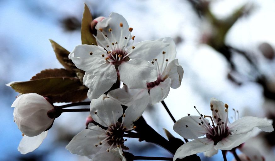 Lezersgallery, inspiratie, community stories, natuur, lente, natuurfotografie