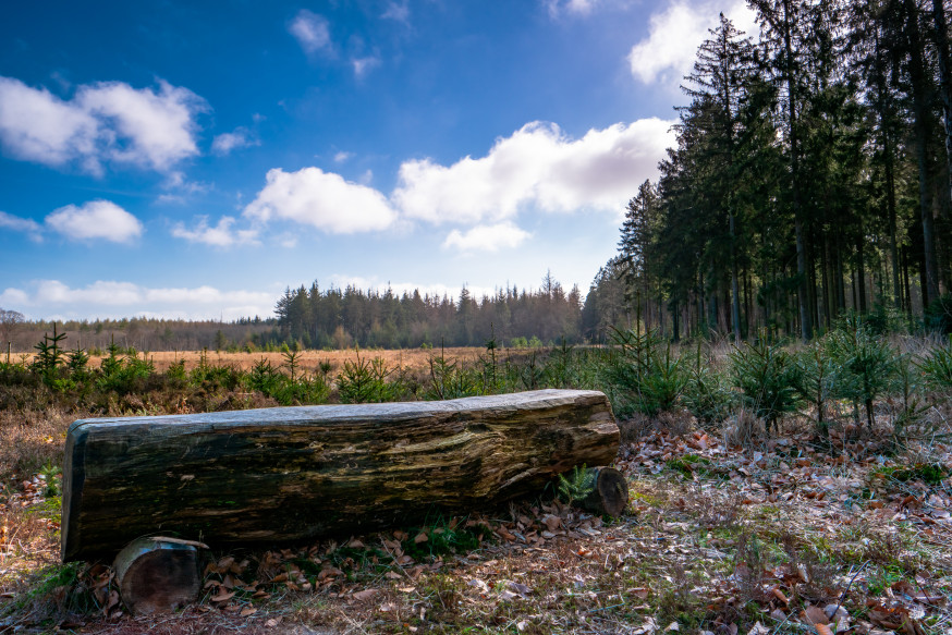 Lezersgallery, inspiratie, community stories, natuur, lente, natuurfotografie