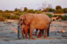 Prachtige reisreportage Botswana van Wilmar Dik