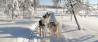 Op winteravontuur in Fins Lapland