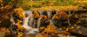 Breng de herfst in beeld met een foto timelapse – tips van Kamera Express 
