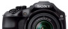 Sony A3000: Kruising tussen NEX en Alpha