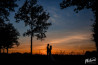 Primeur in Nederland: Bruiloftsfotografie betaalbaar met Bitcoins