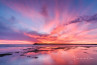 In de spotlight: ‘Spectacular Sunset’ van Ellen Kievit - van den Doel