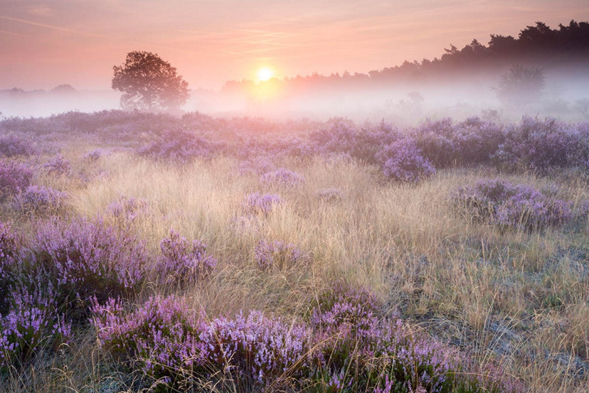 CameraTools Inloopdemo Filters voor natuurfotografie met Bob Luijks – 21 april 2017