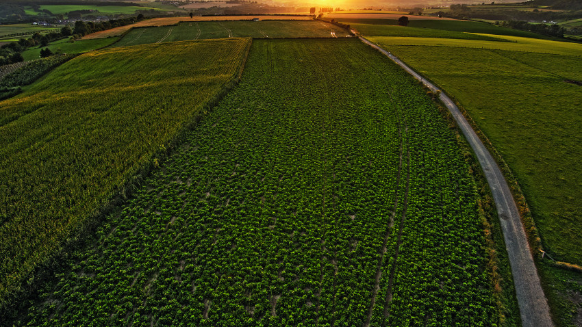 Alles over fotograferen en filmen met drones