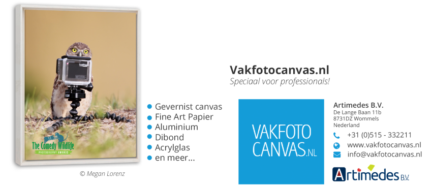 Gicléeprints voor Professionals