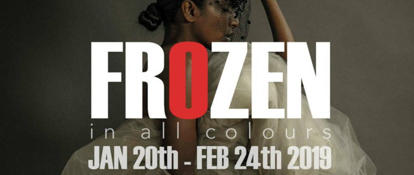  Foto-expositie Frozen in all colours