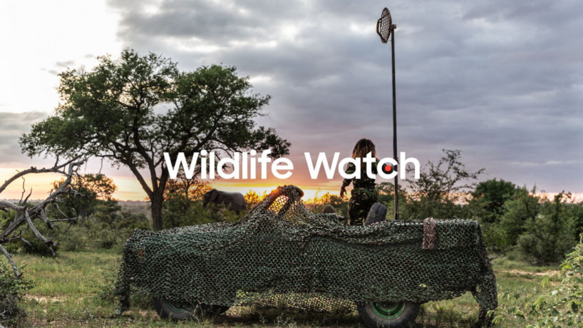 Samsung’s Wildlife Watch nodigt je uit om als virtuele ranger mee te helpen in het behoud van bedreigde dieren in Afrika