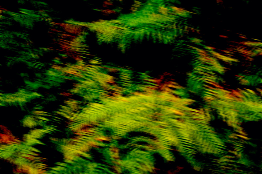 Intentional Camera Movement