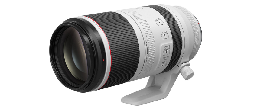 DIGIFOTO Pro Award: Canon RF 100-500mm f/4.5-7.1L IS USM