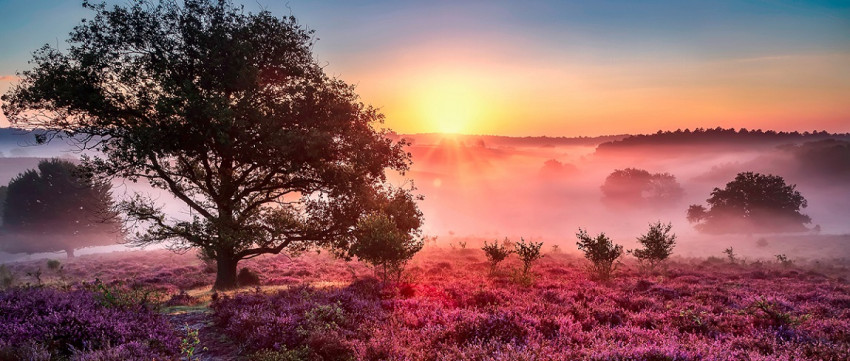 Fotofair: workshop beeldbewerking 