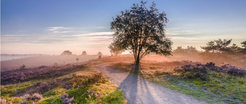 Fotowedstrijd: Natuur