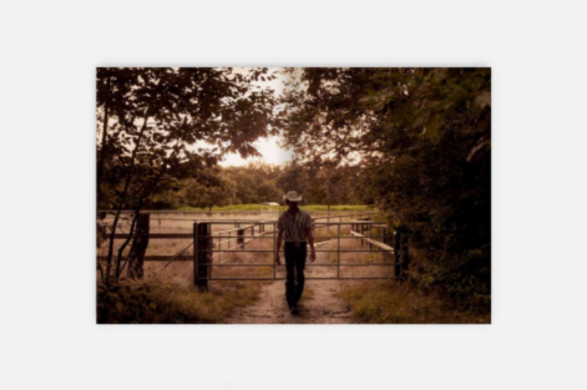 Het nieuwe boek European Cowboy