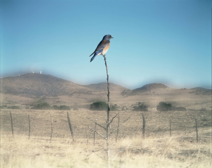 Tentoonstelling De herfst van het paradijs in Huis Marseille