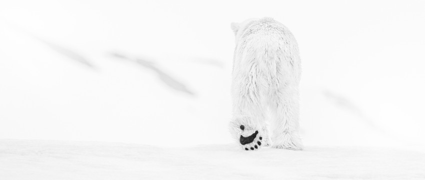 Gerenommeerd kunstfotograaf David Yarrow nieuw Europees ambassadeur van Nikon