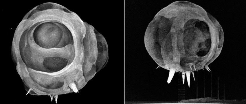 Nucleaire explosie 10 miljoenste seconde na detonatie