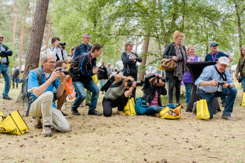 FOTOFAIR 2021 verplaatst naar 3 en 4 juli 2021