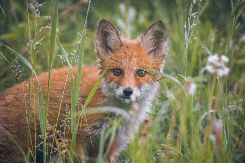 10 Tips om beter te leren fotograferen