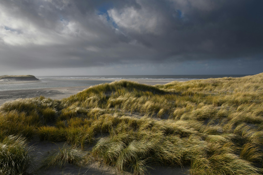 Tip: fotografie in de kop van Noord-Holland