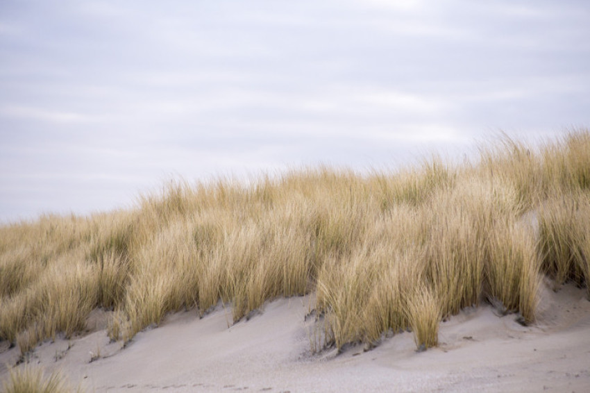 Boekentip: handboek landschapsfotografie