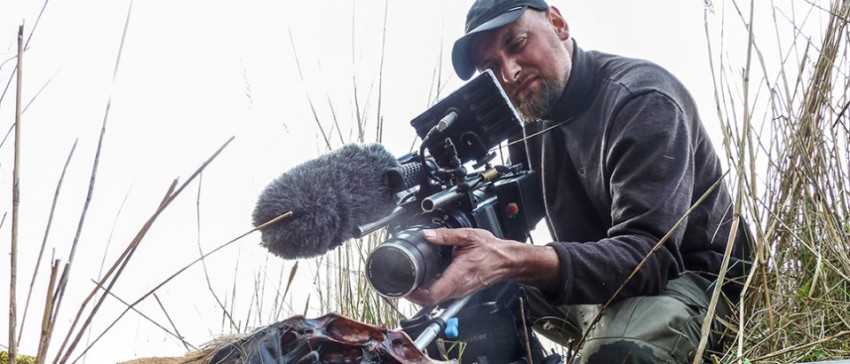 De Nieuwe Wildernis - Nederlandse natuurfilm